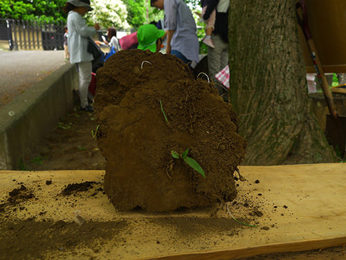 土のかたまり